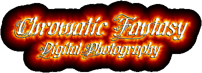 Chromatic Fantasy Digital Photography