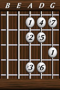 Scales · The Major Scale · viiø - Locrian