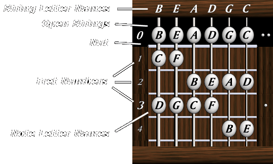 6 String Bass Notes Chart